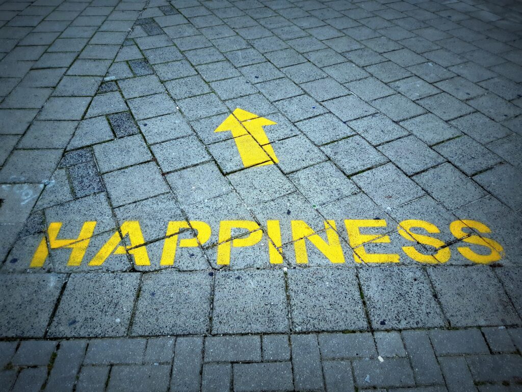 define your happiness